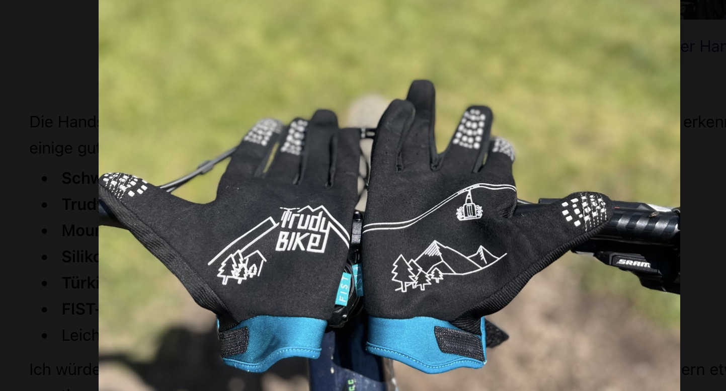 Trudy Bike x FIST – MTB Handschuhe – Bild 2